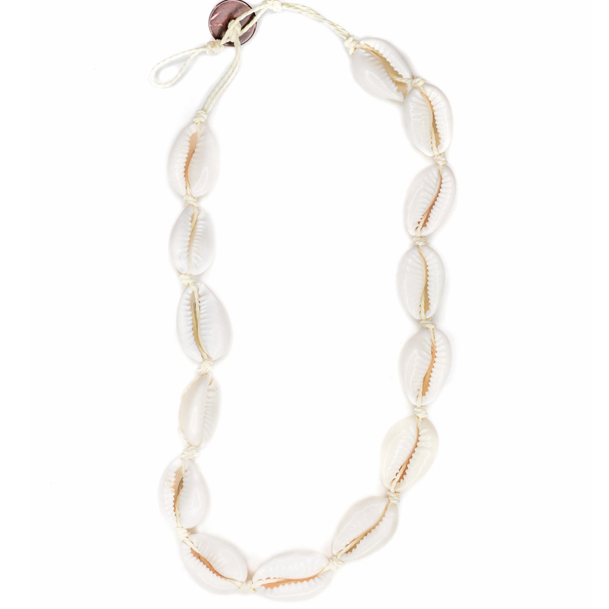 A white cowrie shell choker necklace with adjustable clasp. 