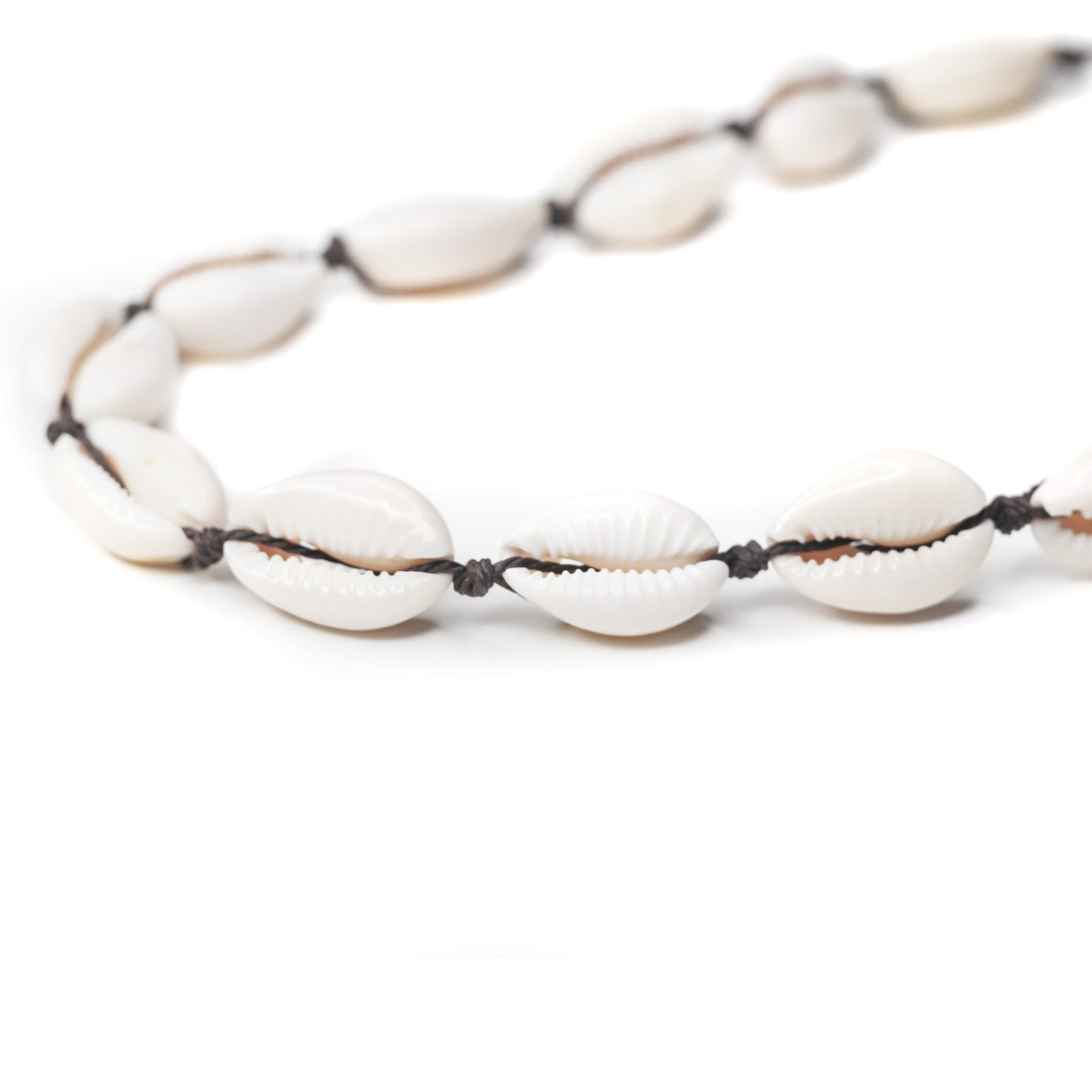 A close up of a cowrie shell choker necklace with an adjustable clasp. 