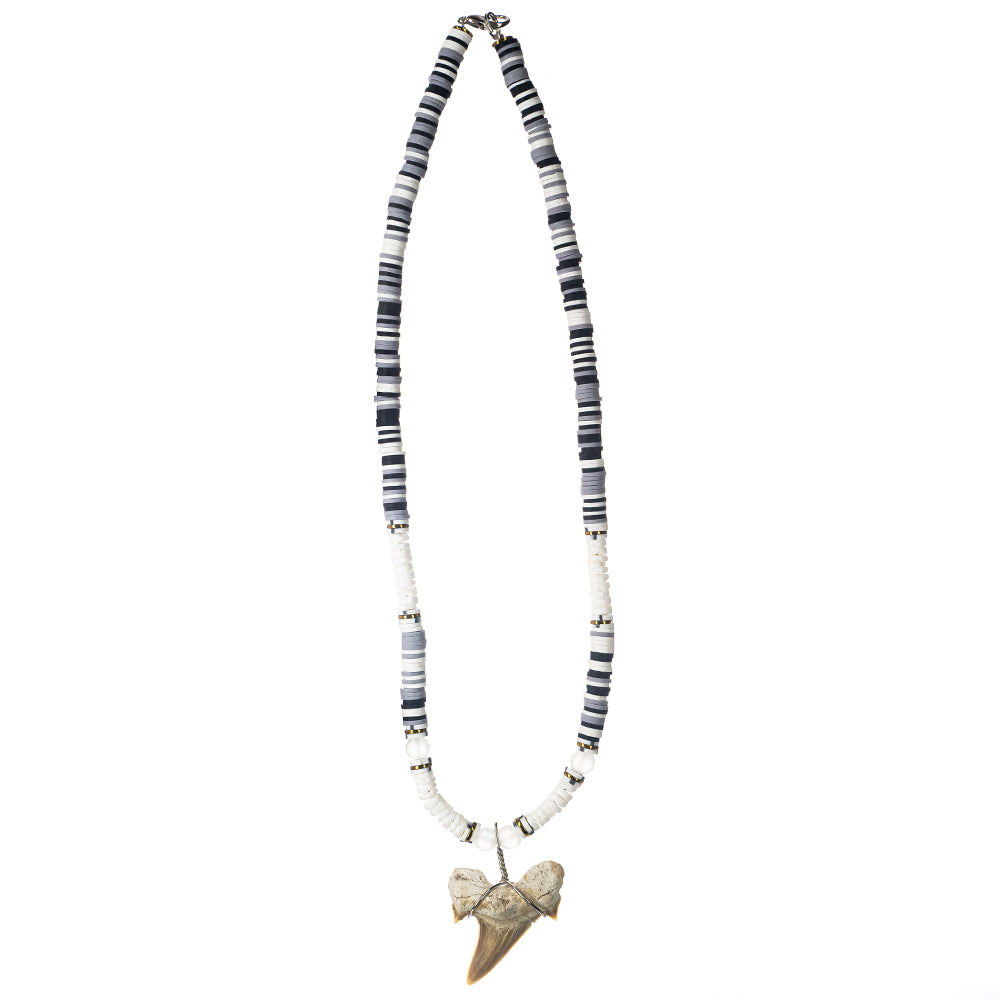 White and Black Shark - Fossil Shark Tooth Necklace