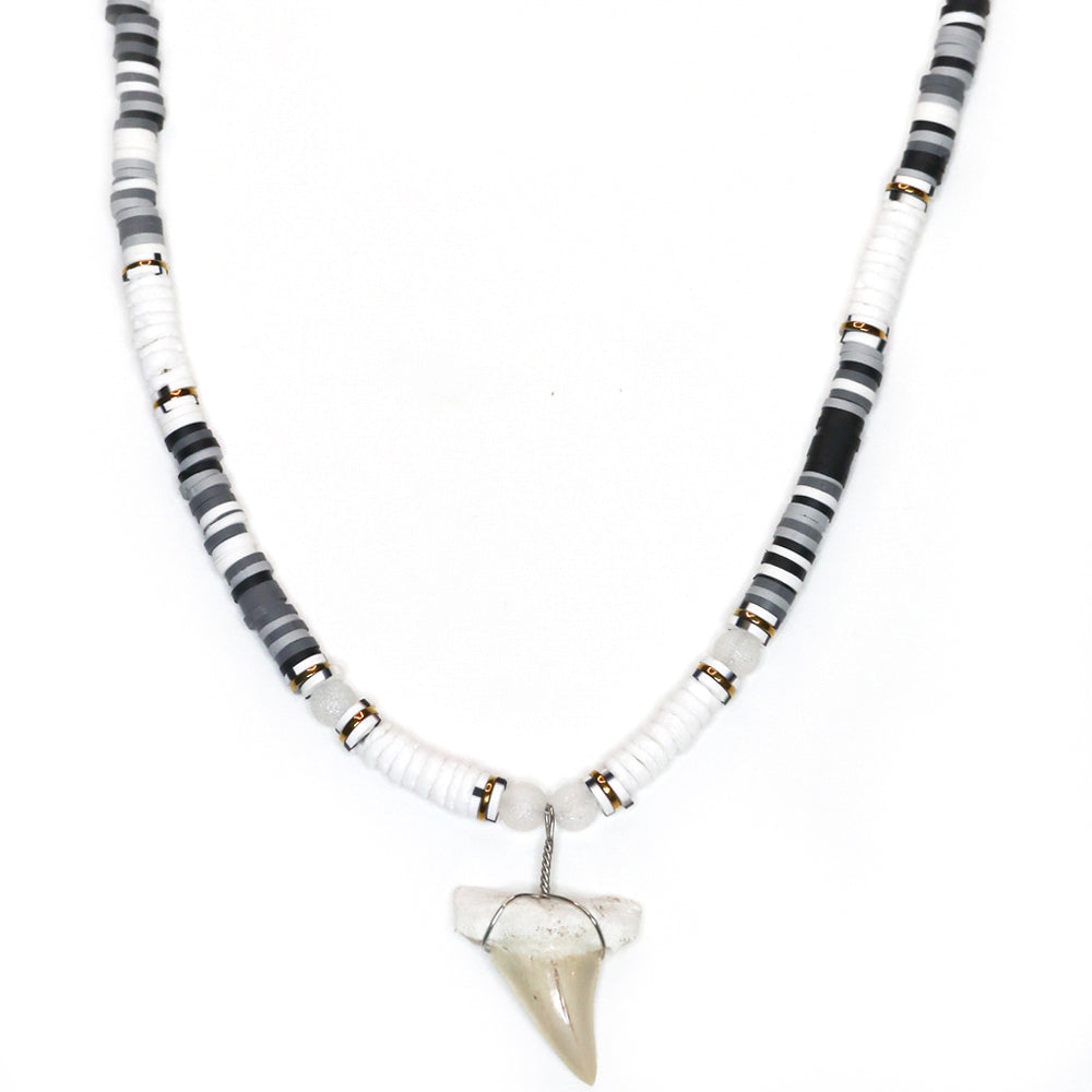 White and Black Shark - Fossil Shark Tooth Necklace